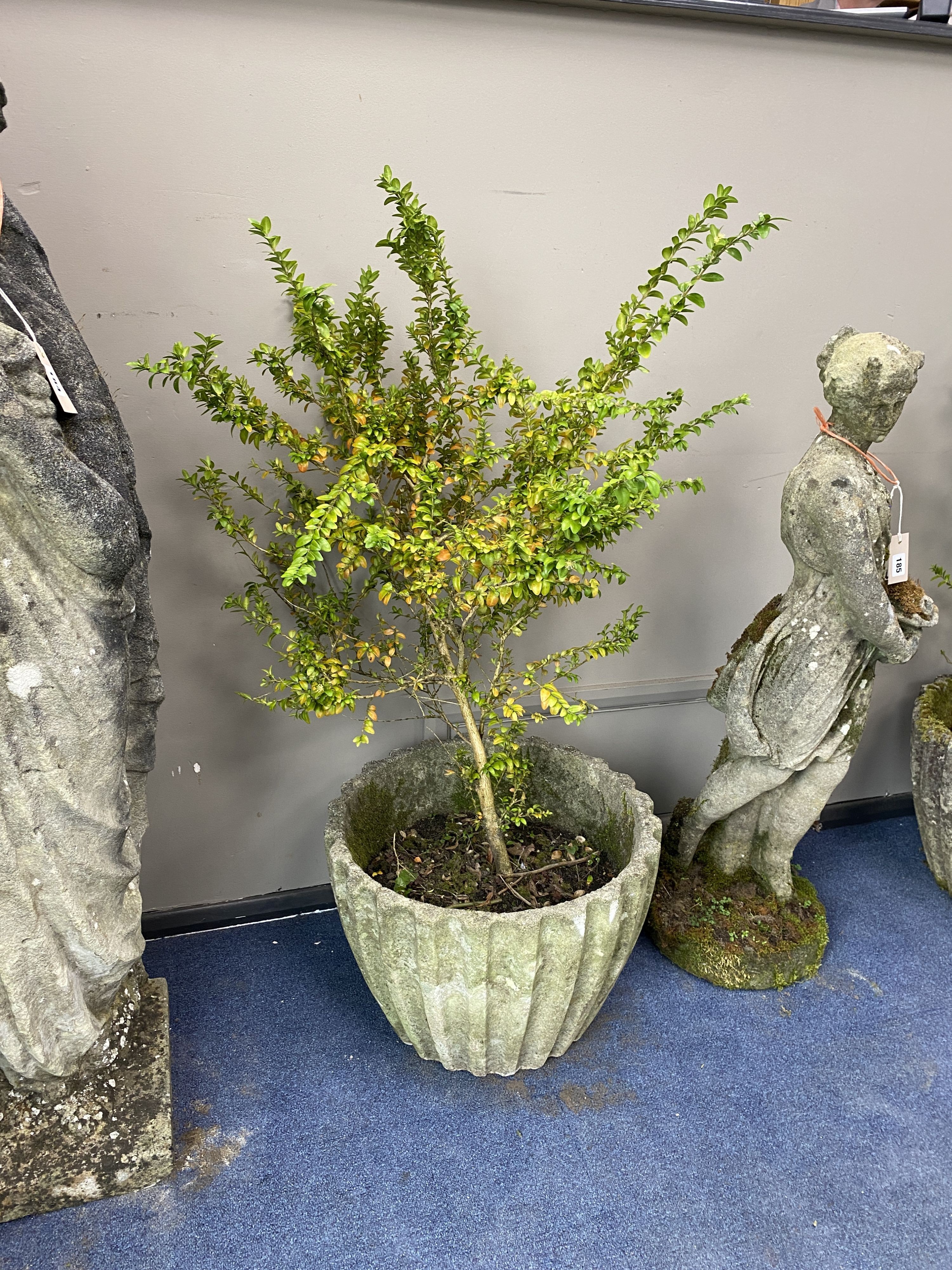 A pair of reconstituted stone circular garden tubs, diameter 50cm